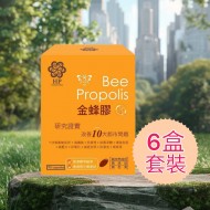 金蜂膠 Health Pro Bee Propolis 90's 6盒套裝