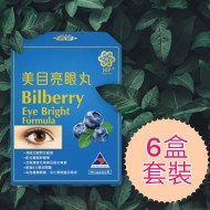 美目亮眼丸 Health Pro Eye Bright Formula 90's 6盒套裝